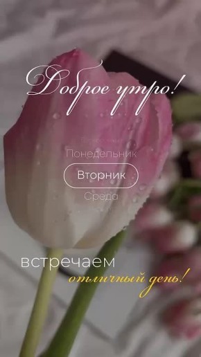 � ������ ��������� �����, ������ �������������� ������! ���� ��������� ������� ����������!