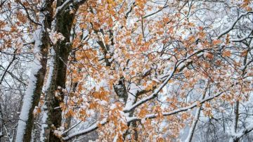 ������ ����!. �������, 20 ������, ������� ��������, �� ������� ����� ������ ���� �� ��������� � �������������