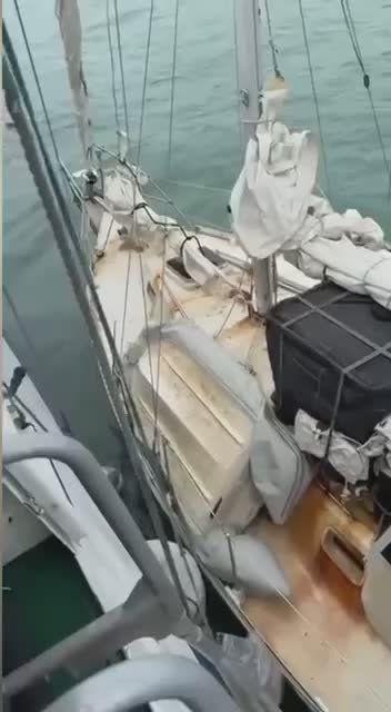 �������� ����� ����� ���������� � ������