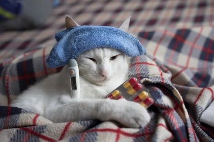 � ��� � ��� ���� ����� ������� �������������� ������� � ���� �� ������ ������� ������