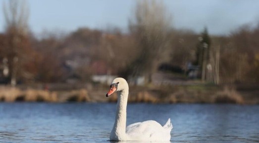 �������� ���������� �������� �������� ���������� �������� � �������