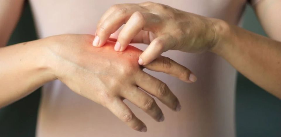 ���������� ������ ����������� � ������ ������