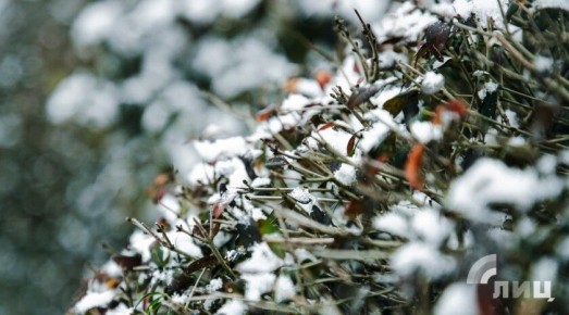 ��������� ������������ 23 ������ � ��� �� 16 �������� ������ � ����