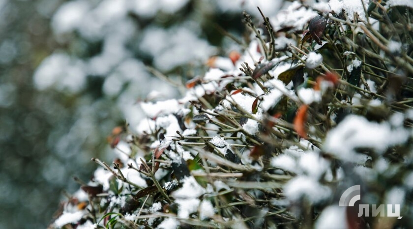 Синоптики прогнозируют 23 января в ЛНР до 16 градусов мороза и снег