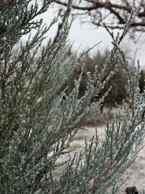 � ������ �����, ������ ����������� �������������� ������ !