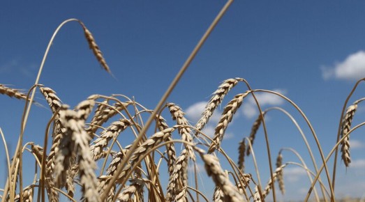 ������������� ������������� �������� 26,5 ���� ���. �� �������� ������� ��������