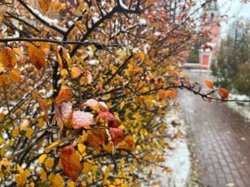 ������ ����! �������, 22 ������