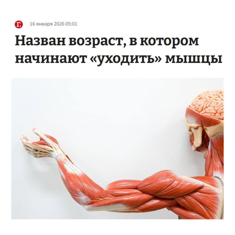 ����� �������� ����������� � 36 ���, � ������