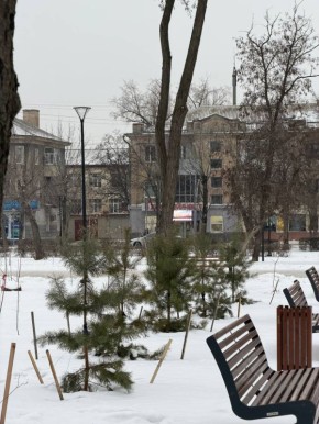 ���� ����� � ������ �������� ���������� �����������