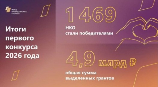 Социальный проект из ЛНР «Больше, чем няня» получил поддержку Фонда Президентских грантов