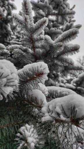 ������ ����, ���!. ������� �9, ������ �����