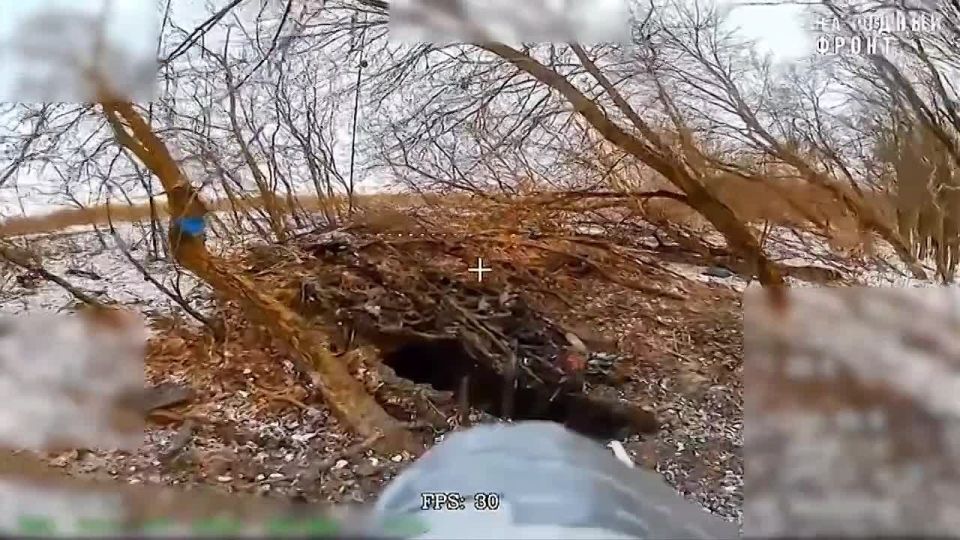 �������� ���������. ������� ����������� ��������� �� ����� | ��������� �� ��� ��������� | �������c����� @luganmedia
