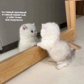 День счастливчика по жизни отмечается сегодня