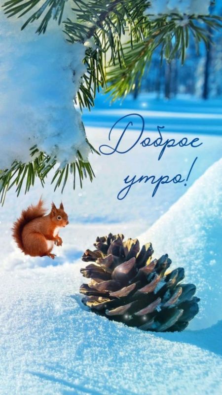 ������� ������� - 23 ������