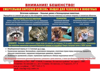 ВАЖНАЯ ИНФОРМАЦИЯ ДЛЯ ЖИТЕЛЕЙ С. НИЖНЕТЕПЛОЕ И СТАНИЧНО-ЛУГАНСКОГО ОКРУГА