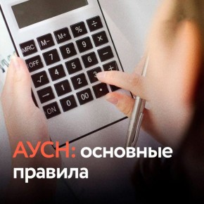 Автоматизированная упрощенная система налогообложения (АУСН): налоги на «автопилоте» для бизнеса