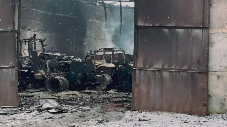 WarGonzo: ��� �����������, ��� ������: ����������� ����� ��� �� ������� ������� � ���