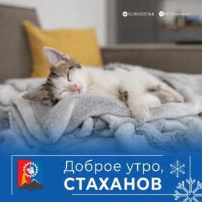 ������ ����, ������ �����!