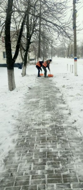 "��� "���" � ����: ������� ����, ������������ ��������"