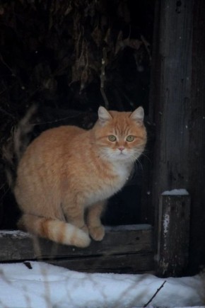 26 января на территории Луганской Народной Республики прогнозируется переменная облачность