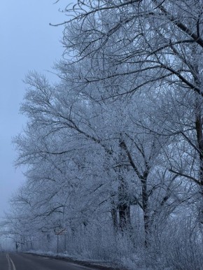 � ������ �����, ������ ����������� �������������� ������ !