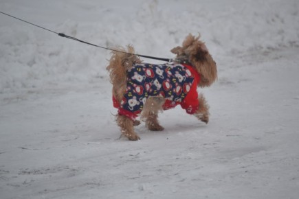 ����, ������ � �������� ������� ��������� � ��� 25 ������