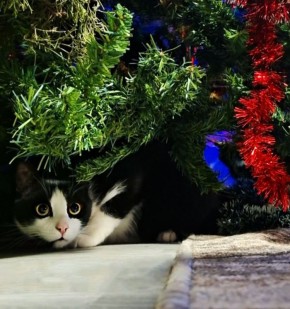 27 ������ �� ���������� ��������� �������� ���������� �������������� ���������� ����������