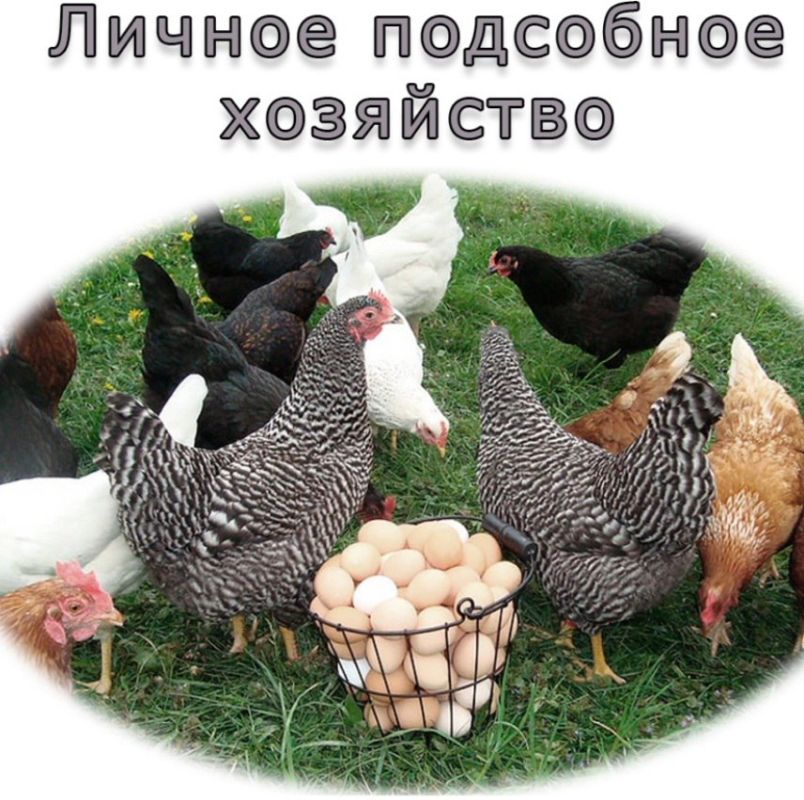 � �������� ���������� ������ ��������� �������� �������������� �������������� ������