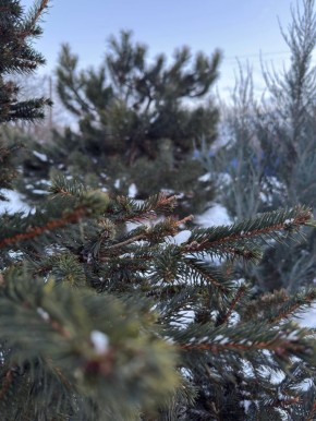 � ������ �����, ������ ����������� �������������� ������ !