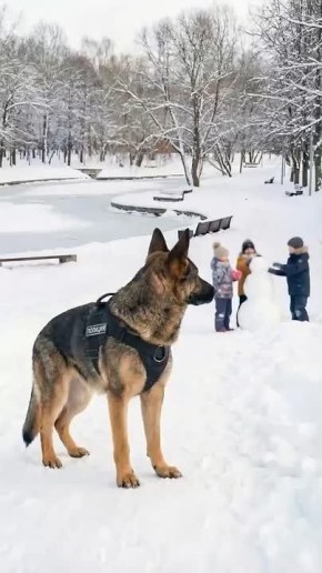 �������� � ���� �� ������ ������� - ���� �������� � �������������