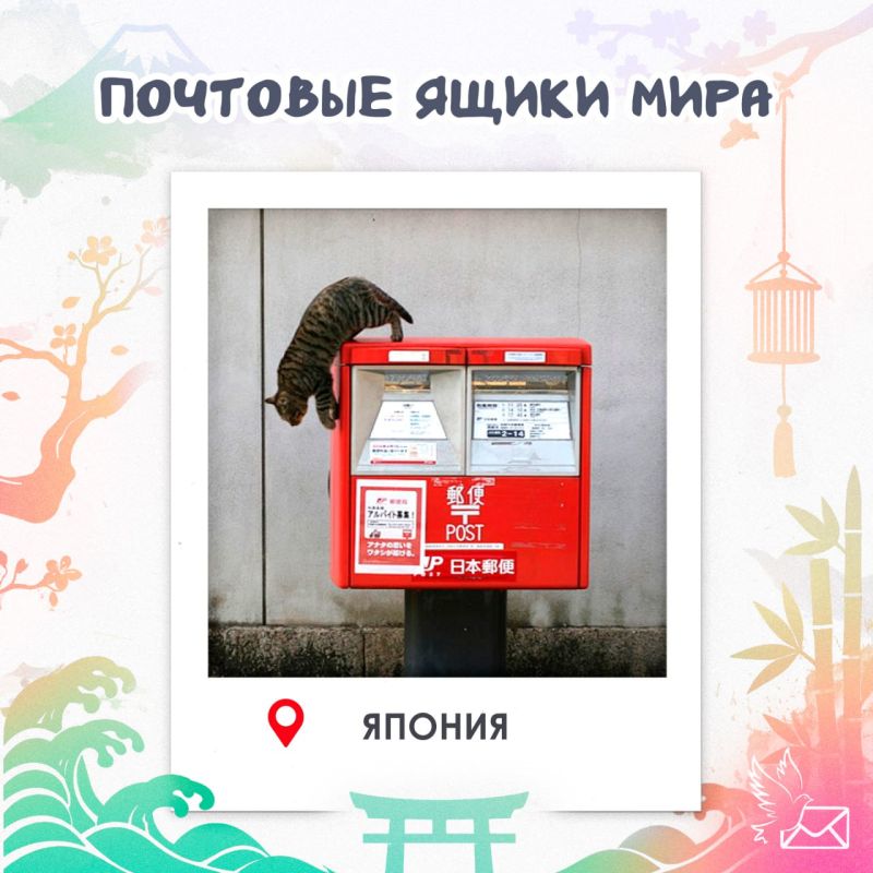 �������� ����� ����: ������