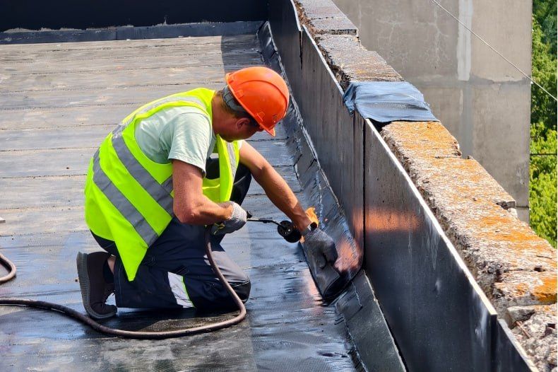 ������������ ���� � 2026 ���� ������������� � ������������ ������ ��� 36 ��������