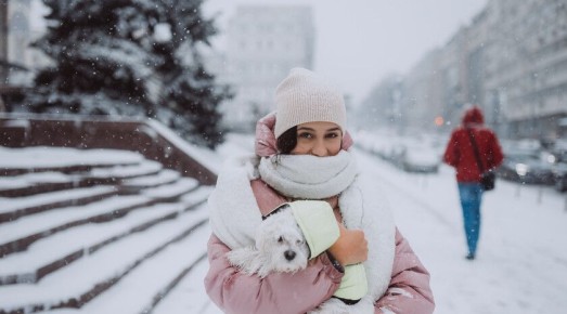 ���� ����������, ������� �� ��� ������� ������ ��������� ��� �������