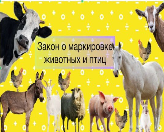 ПАМЯТКА ВЛАДЕЛЬЦАМ СЕЛЬСКОХОЗЯЙСТВЕННЫХ ЖИВОТНЫХ