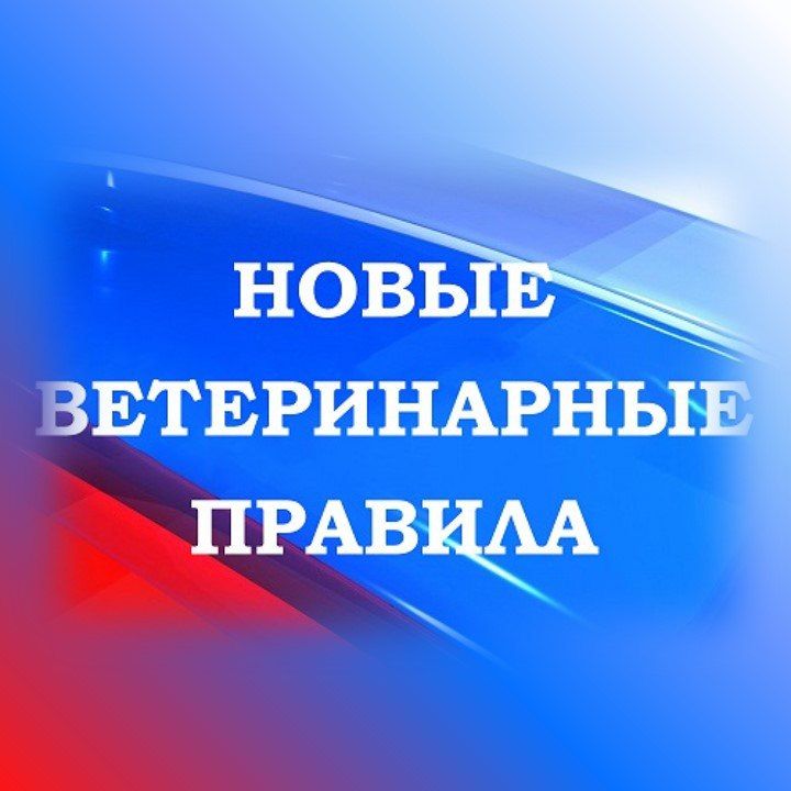 �������� � ����������� � �������������� � 2026 ����: ������������ ����������, �������� ����������� � ����� ���������