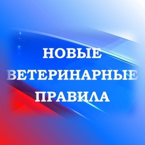 �������� � ����������� � �������������� � 2026 ����: ������������ ����������, �������� ����������� � ����� ���������