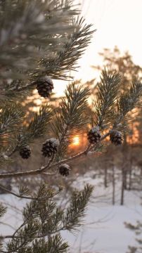 ��� ������� ������������� ������