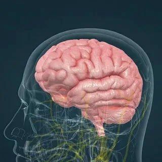 �������� ���������� ������ ������ ��� �������� � ��������� ��������, ��� ��� ������ ����