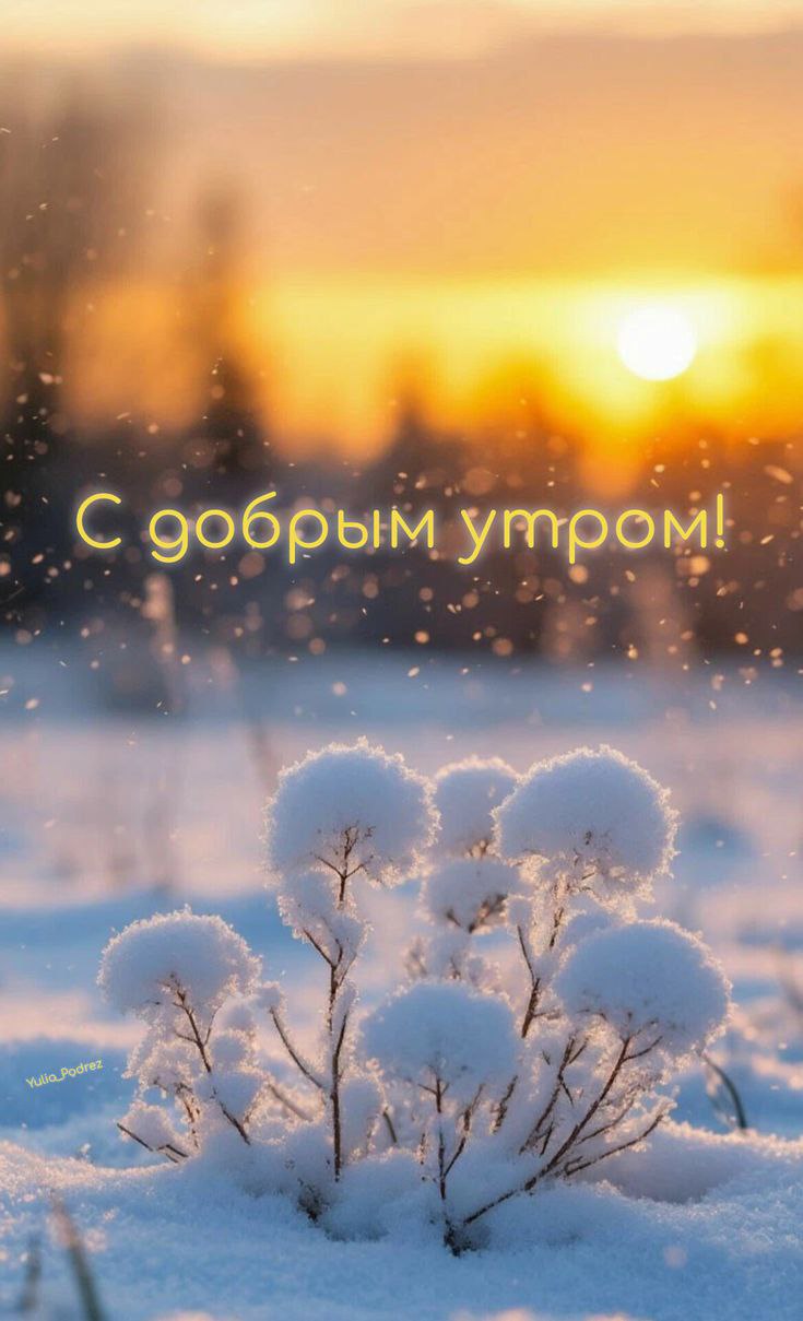 С ДОБРЫМ УТРОМ!. Сегодня 28 января 2026 года — среда