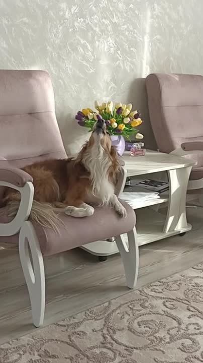 Дмитрий Зименкин: Трогательно! "Луганка" и певец Сергей Нихаенко вместе поют о своих фронтовых буднях!