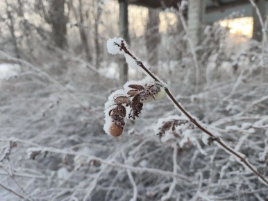 ������, ������ ���� � �������� ��������� � ��� �������