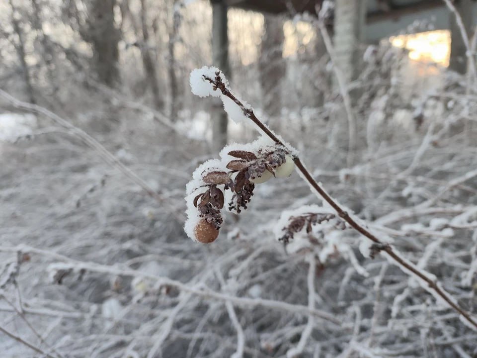 Гололёд, мокрый снег и оттепель ожидаются в ЛНР сегодня