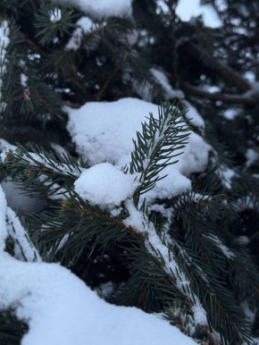 � ������ �����, ������ ����������� �������������� ������ !