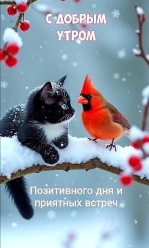 ������� ����� - 28 ������