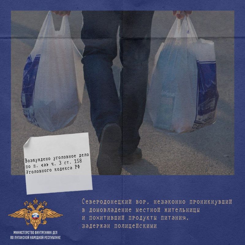 11 Полицейские республики задержали мужчину, похитившего продукты питания у жительницы Северодонецка