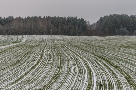 ����� ��������� �� 37 ��. ��� ���� ��������� ������ � ���?