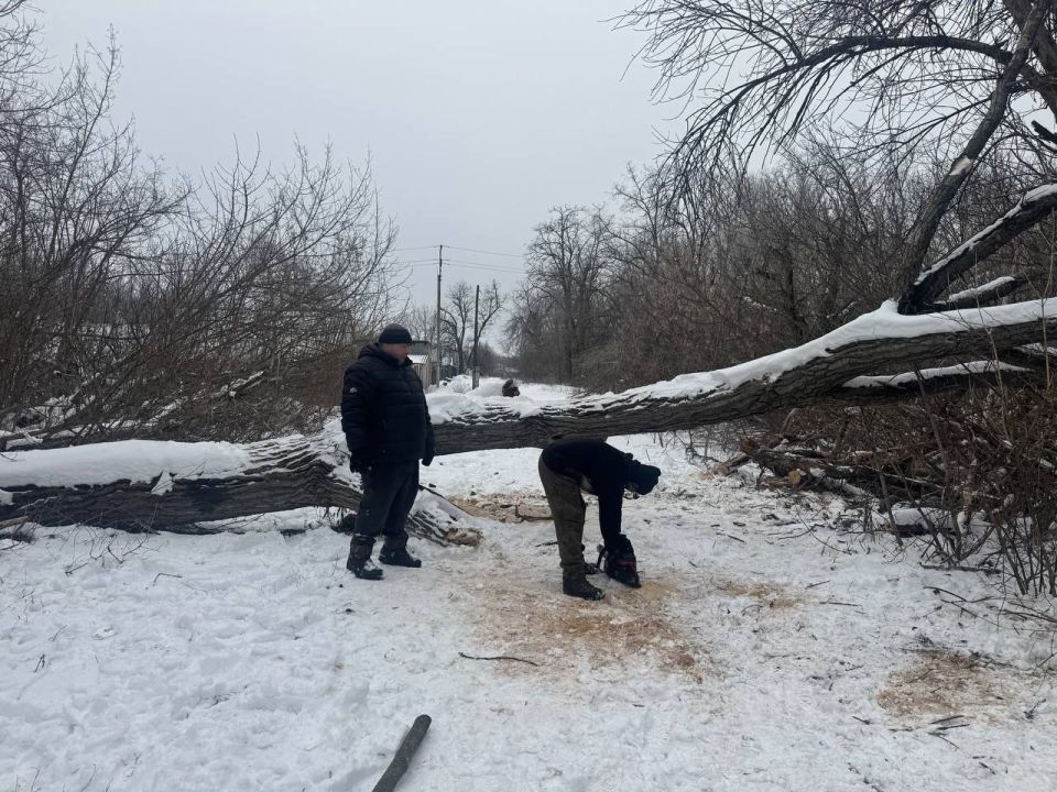 ������ ��������: ������������ ������ ���������� ������ ���������� ��������� �� ��������� �������� � ������������ ������������