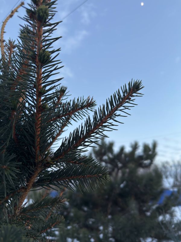 � ������ �����, ������ ����������� �������������� ������ !