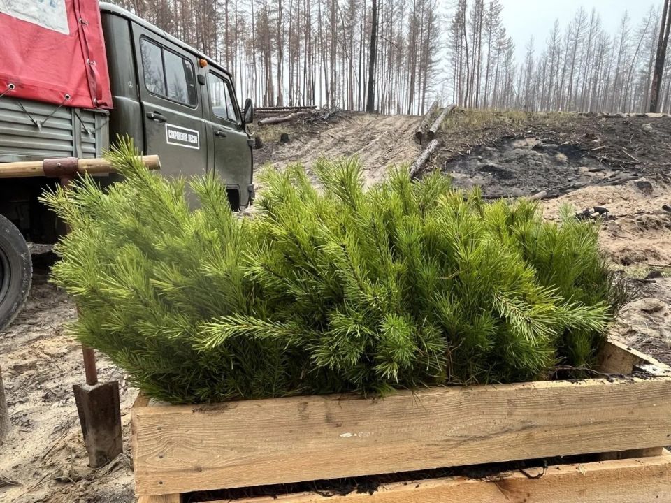 � 2026 ���� � ������ ������������ ������� ����������� ����� � ��� ������� ����� 262 �� ����