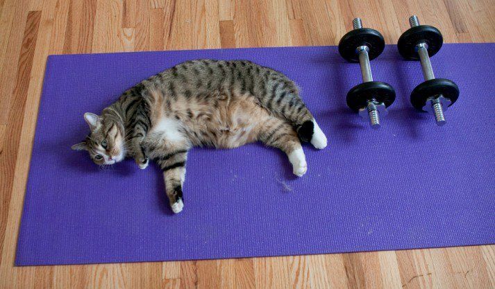 В ЛНР теперь можно вернуть часть денег за спорт